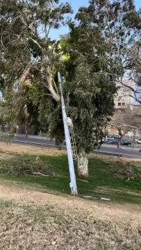Nuevo alerta por vientos fuertes para este viernes Nuevo alerta por vientos fuertes para este viernes