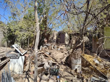 Qué dice el parte oficial sobre el hombre comido por perros: heces con huesos, crías y 82 fragmentos óseos