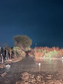 WhatsApp-Image-2025-08-31-at-10.51.30-546x728