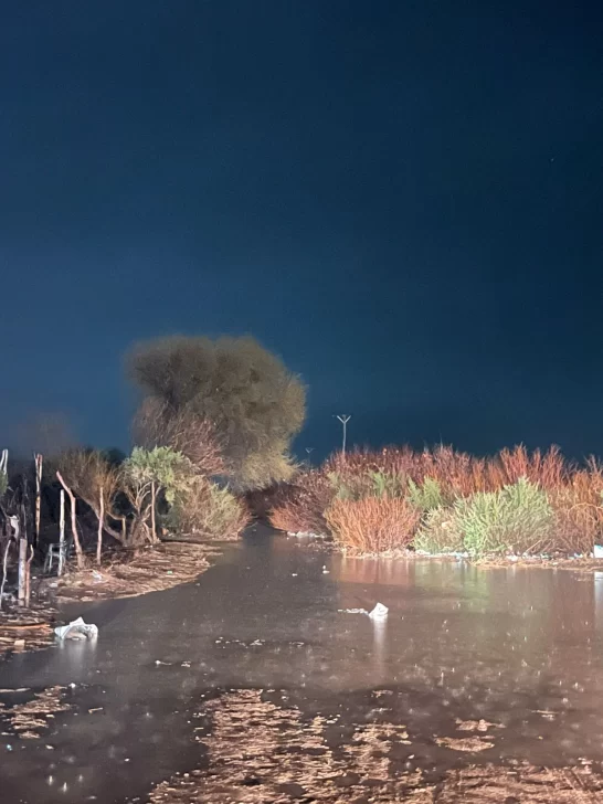 WhatsApp-Image-2025-08-31-at-10.51.30-546x728