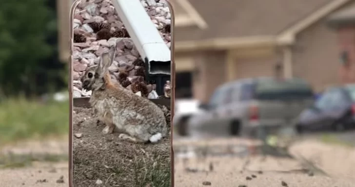 a739a119-350d-4893-8f01-d7fea46c803d-728x385