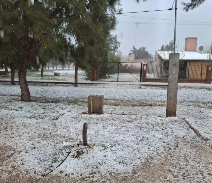 a9f1af85-13be-4718-8a01-36f6103d169b-728x629 a9f1af85-13be-4718-8a01-36f6103d169b-728x629