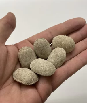 abono-solido-610x728