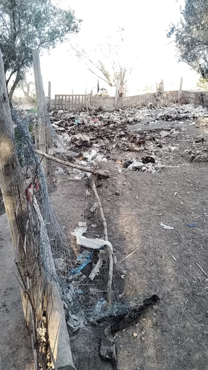 allanamiento-albardon-animales2025-1-410x728 allanamiento-albardon-animales2025-1-410x728