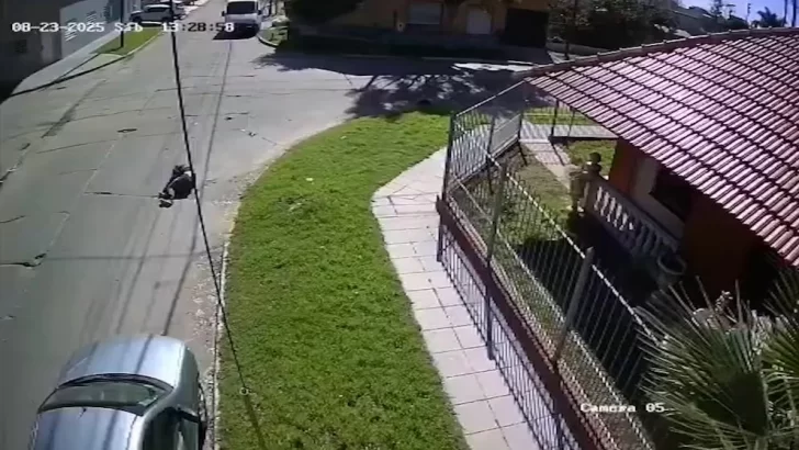 Un automovilista atropelló a un ciclista a toda velocidad y se dio a la fuga sin asistirlo