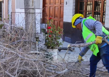 Conocé el cronograma semanal de poda en la Ciudad de San Juan Conocé el cronograma semanal de poda en la Ciudad de San Juan