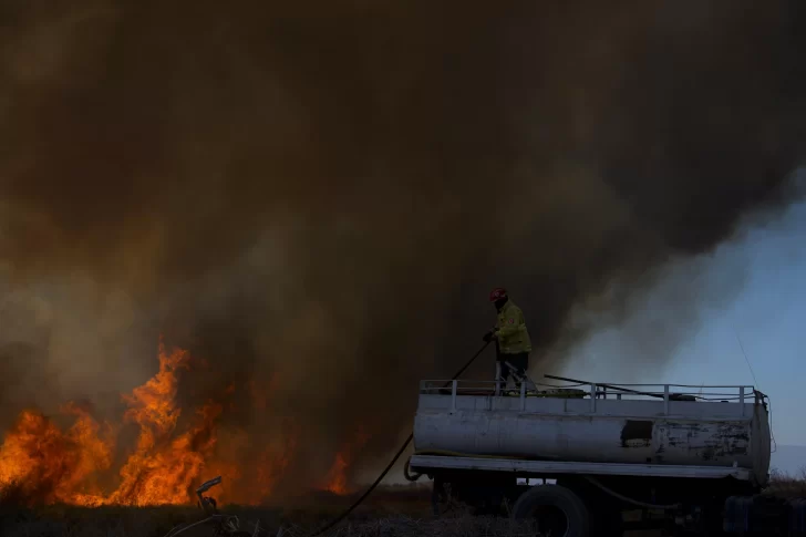 Incendio forestal en Médano de Oro: las llamas rozaron una tragedia en 4 viviendas Incendio forestal en Médano de Oro: las llamas rozaron una tragedia en 4 viviendas