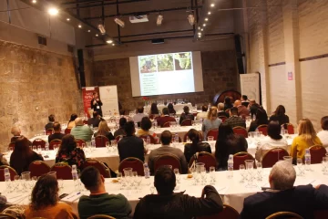 Seminario gratuito para profesionales del vino Seminario gratuito para profesionales del vino