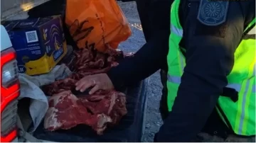 Detuvieron a cazadores ilegales con tres guanacos faenados en Albardón Detuvieron a cazadores ilegales con tres guanacos faenados en Albardón