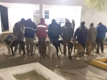 Caza ilegal: durante un operativo especial, detuvieron a 9 personas y rescataron a 14 perros en Albardón Caza ilegal: durante un operativo especial, detuvieron a 9 personas y rescataron a 14 perros en Albardón