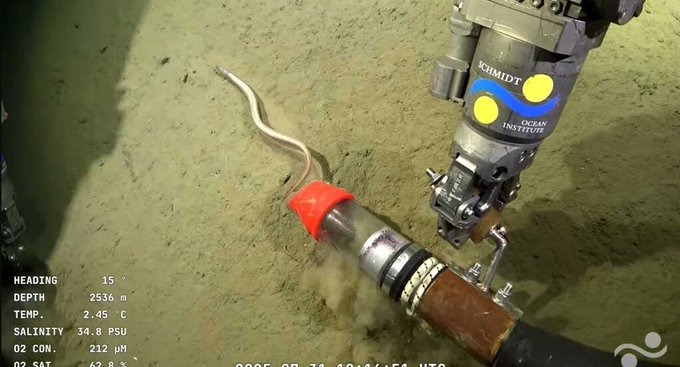 Termina la misión del Conicet en el fondo del Mar Argentino: el pedido que hicieron los científicos Termina la misión del Conicet en el fondo del Mar Argentino: el pedido que hicieron los científicos