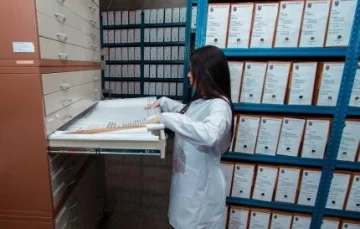 Por qué se celebra el 28 de agosto el Día del Archivista en Argentina Por qué se celebra el 28 de agosto el Día del Archivista en Argentina
