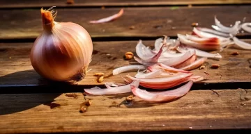 Atención asadores: cómo es el truco de la cebolla para limpiar la parrilla Atención asadores: cómo es el truco de la cebolla para limpiar la parrilla