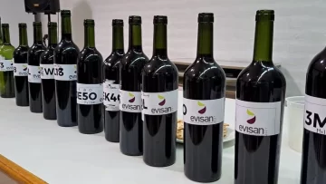 La Evaluación de Vinos de San Juan cierra con una gran fiesta