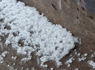 Tormenta de Santa Rosa: cayó gran cantidad de granizo en 25 de Mayo y aguanieve en Barreal Tormenta de Santa Rosa: cayó gran cantidad de granizo en 25 de Mayo y aguanieve en Barreal