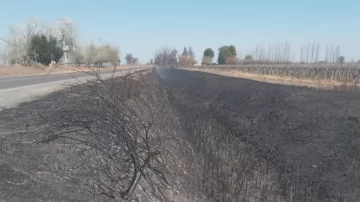 Drama en una escuela de 25 de Mayo: un incendio obligó a evacuar la institución y hubo alumnos intoxicados Drama en una escuela de 25 de Mayo: un incendio obligó a evacuar la institución y hubo alumnos intoxicados