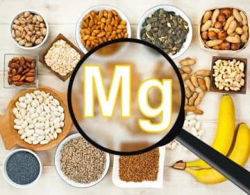 Qué es el magnesio: un suplemento vital Qué es el magnesio: un suplemento vital