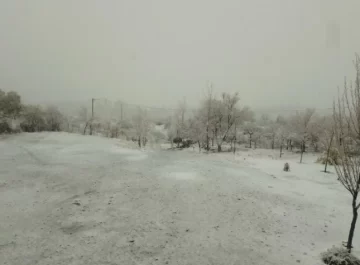 [VIDEO] El temporal de Santa Rosa sorprendió a Pedernal que amaneció teñido de blanco