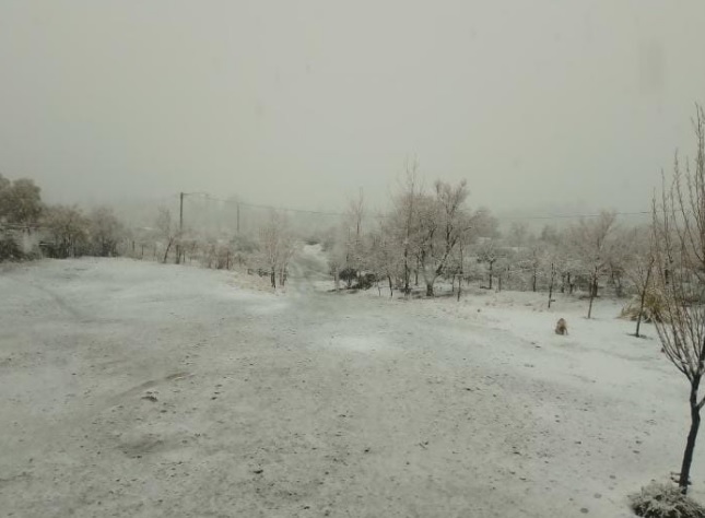 [VIDEO] El temporal de Santa Rosa sorprendió a Pedernal que amaneció teñido de blanco