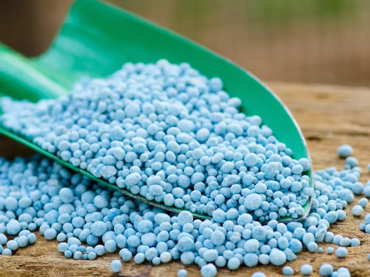 nitrogeno-fosforo-y-potasio-728x546