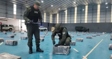 Misiones: por una mochila con tres kilos de drogas, descubrieron un bunker con tres toneladas Misiones: por una mochila con tres kilos de drogas, descubrieron un bunker con tres toneladas