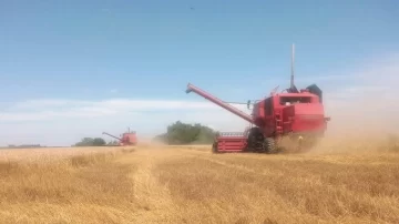 Con lo que pagó de retenciones podría haberse comprado otro campo: el cálculo de un productor que fue viral