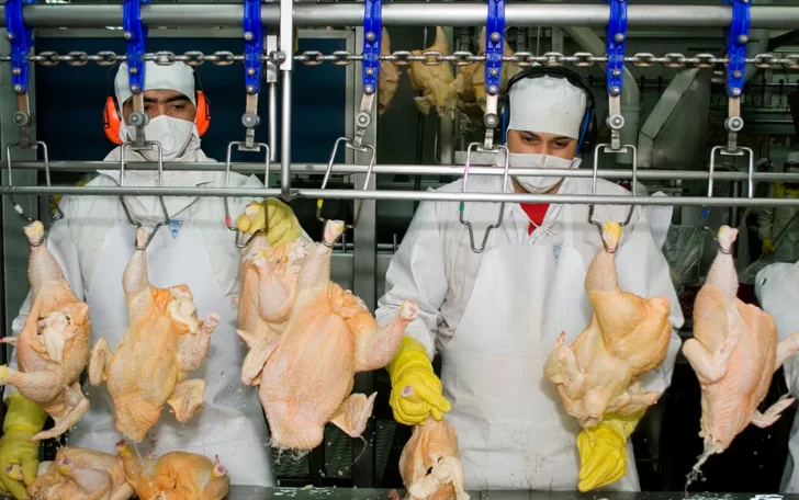 La Argentina suspendió las exportaciones de productos avícolas tras un brote de influenza aviar en Buenos Aires