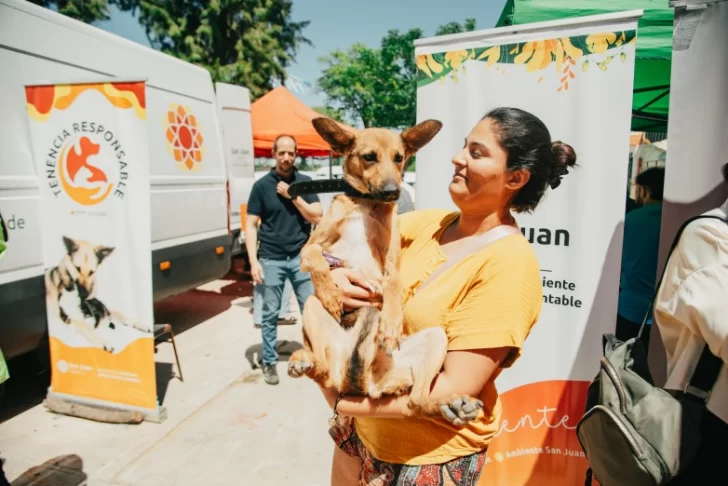 En qué barrio de Rawson estará el quirófano móvil de esterilización en agosto En qué barrio de Rawson estará el quirófano móvil de esterilización en agosto