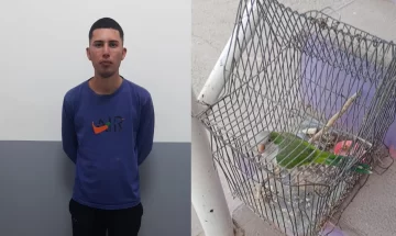 Robó una jaula con una cata y lo atraparon tras ser golpeado por vecinos Robó una jaula con una cata y lo atraparon tras ser golpeado por vecinos