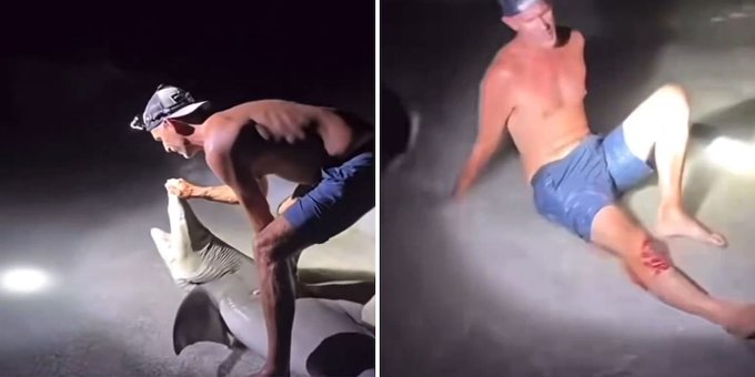 Intentó sacarse una foto con un tiburón y terminó en el hospital Intentó sacarse una foto con un tiburón y terminó en el hospital