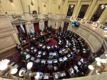 El Senado buscará esta semana rechazar el veto a los ATN con un oficialismo en jaque El Senado buscará esta semana rechazar el veto a los ATN con un oficialismo en jaque