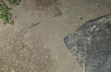 Cae el “Kity” por robar una mochila usando como arma una tijera Cae el “Kity” por robar una mochila usando como arma una tijera