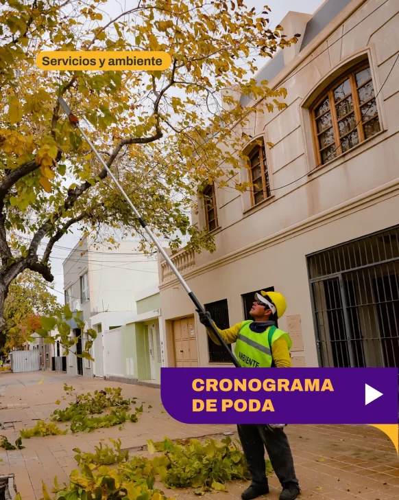 Continúa el operativo de poda en la Ciudad de San Juan: los detalles Continúa el operativo de poda en la Ciudad de San Juan: los detalles