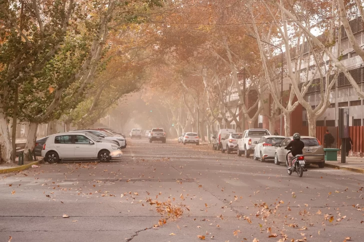 Alerta de Zonda: suspendieron las clases en San Juan en turnos tarde, vespertino y nocturno