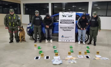 Modificaron el techo de una camioneta para ocultar más de 8 kilos de cocaína Modificaron el techo de una camioneta para ocultar más de 8 kilos de cocaína