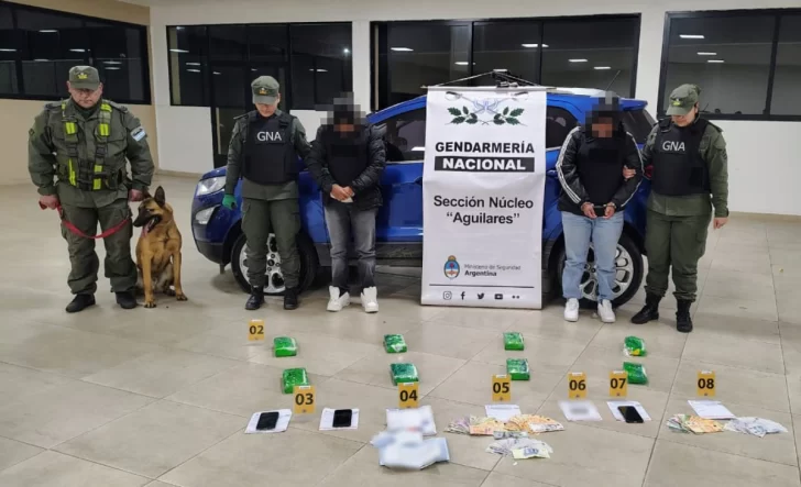 Modificaron el techo de una camioneta para ocultar más de 8 kilos de cocaína Modificaron el techo de una camioneta para ocultar más de 8 kilos de cocaína