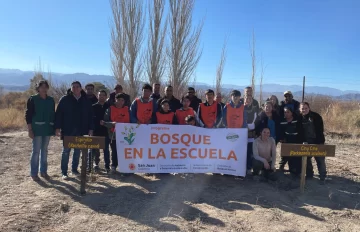 xBOSQUEapertura-728x470