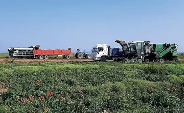 xDCC280825-002F07-728x448