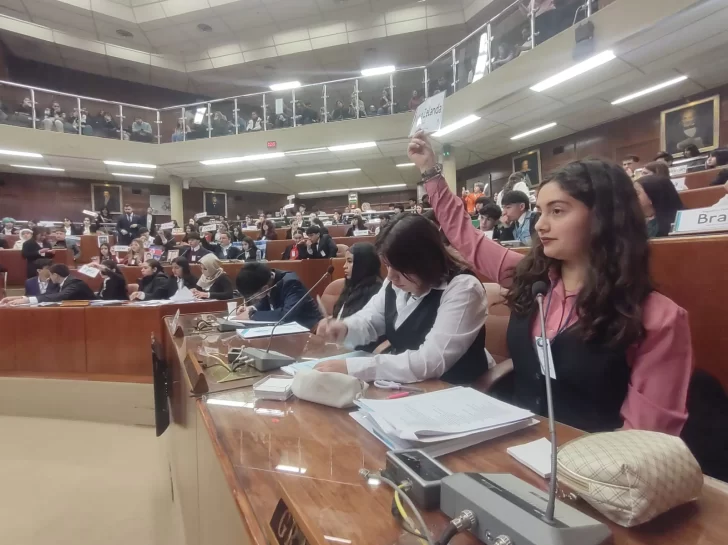 Con el recinto de la Legislatura lleno, arrancó el simulacro de la Asamblea de la ONU protagonizada por estudiantes secundarios