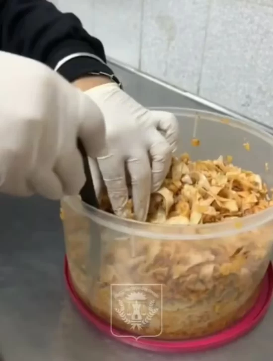 07345580-f8e3-46db-b982-2bca5a850c25-550x728