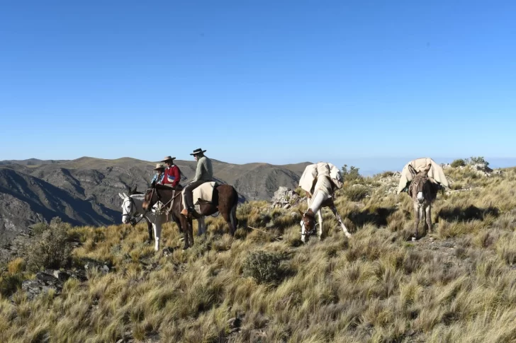 24a80902-e2f9-4899-b93e-2ad93522216c-728x485 24a80902-e2f9-4899-b93e-2ad93522216c-728x485