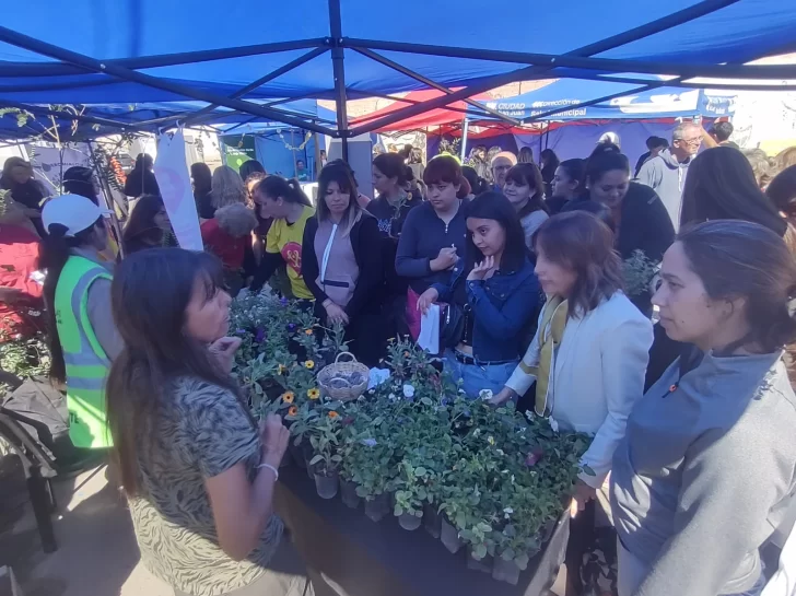 94ac9984-e32c-4348-b979-543e74ed874c-728x545 94ac9984-e32c-4348-b979-543e74ed874c-728x545