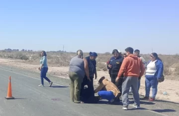 Una joven intentó cruzar la ruta y fue embestida por una mujer en moto: las dos terminaron hospitalizadas Una joven intentó cruzar la ruta y fue embestida por una mujer en moto: las dos terminaron hospitalizadas