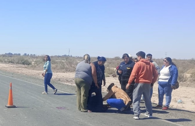 Una joven intentó cruzar la ruta y fue embestida por una mujer en moto: las dos terminaron hospitalizadas Una joven intentó cruzar la ruta y fue embestida por una mujer en moto: las dos terminaron hospitalizadas