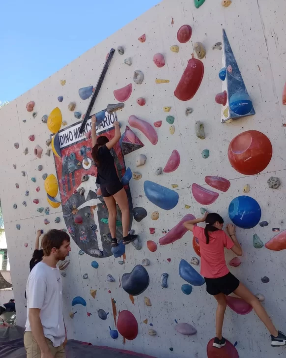 ANDINO1-copia-582x728 ANDINO1-copia-582x728