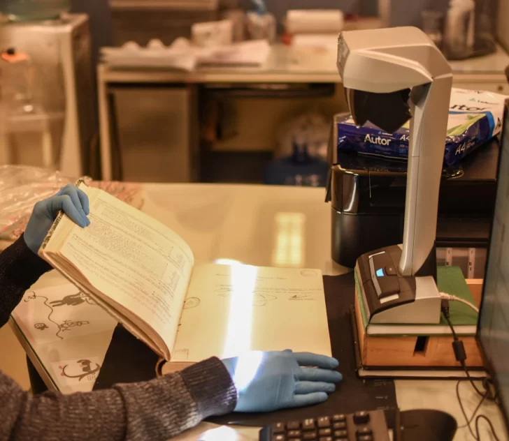 ARCHIVO2-728x632 ARCHIVO2-728x632