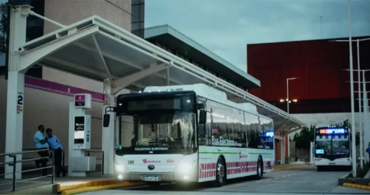 Confirmaron que habrá colectivos gratis para el Estadio del Bicentenario en Pocito Confirmaron que habrá colectivos gratis para el Estadio del Bicentenario en Pocito