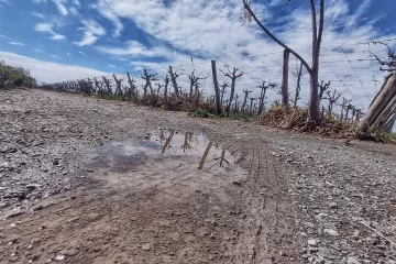 DCC020925-002F07-728x485