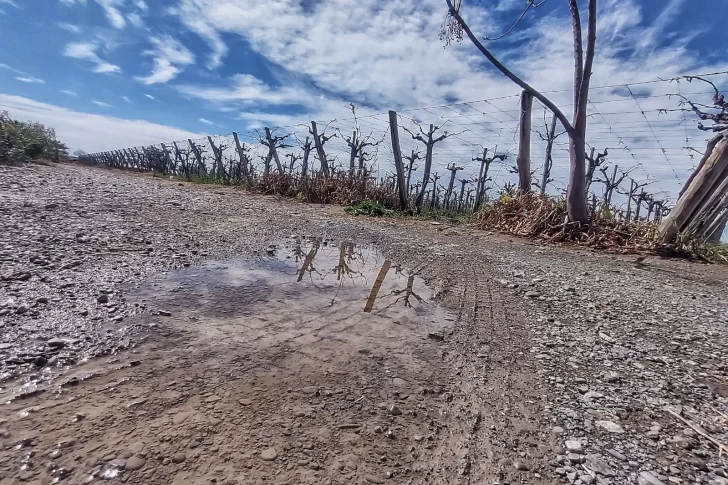 DCC020925-002F07-728x485