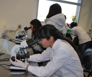 DCC030925-003F06-728x611